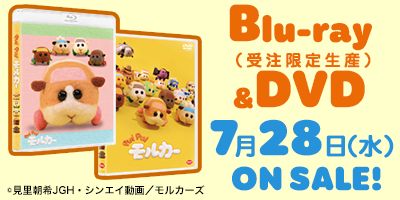 Blu-ray（受注限定生産）＆DVD　7月28日（水）ON SALE