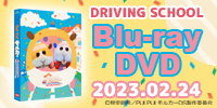 DRIVING SCHOOL Blu-ray DVD 2023.02..24