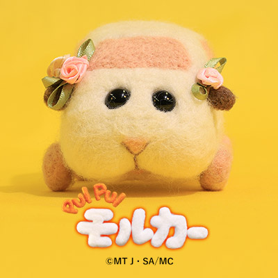 sns icon ウエディングモルカー