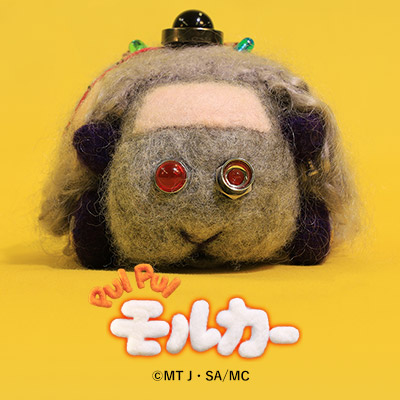 sns icon タイムモルカー