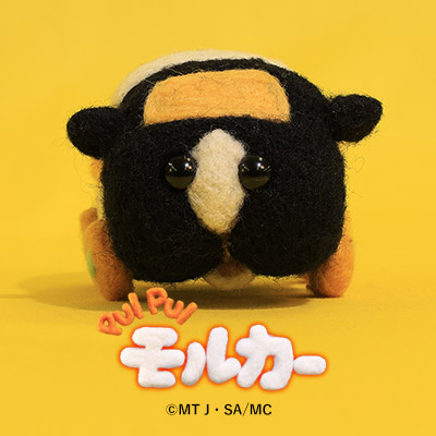 sns icon スカンク