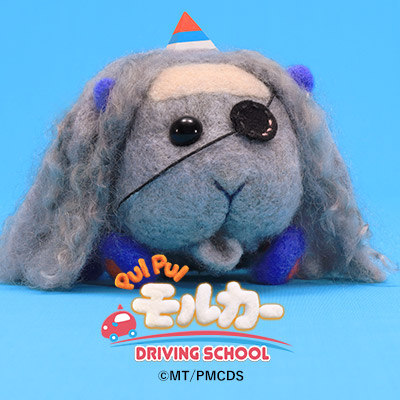 sns icon シェール