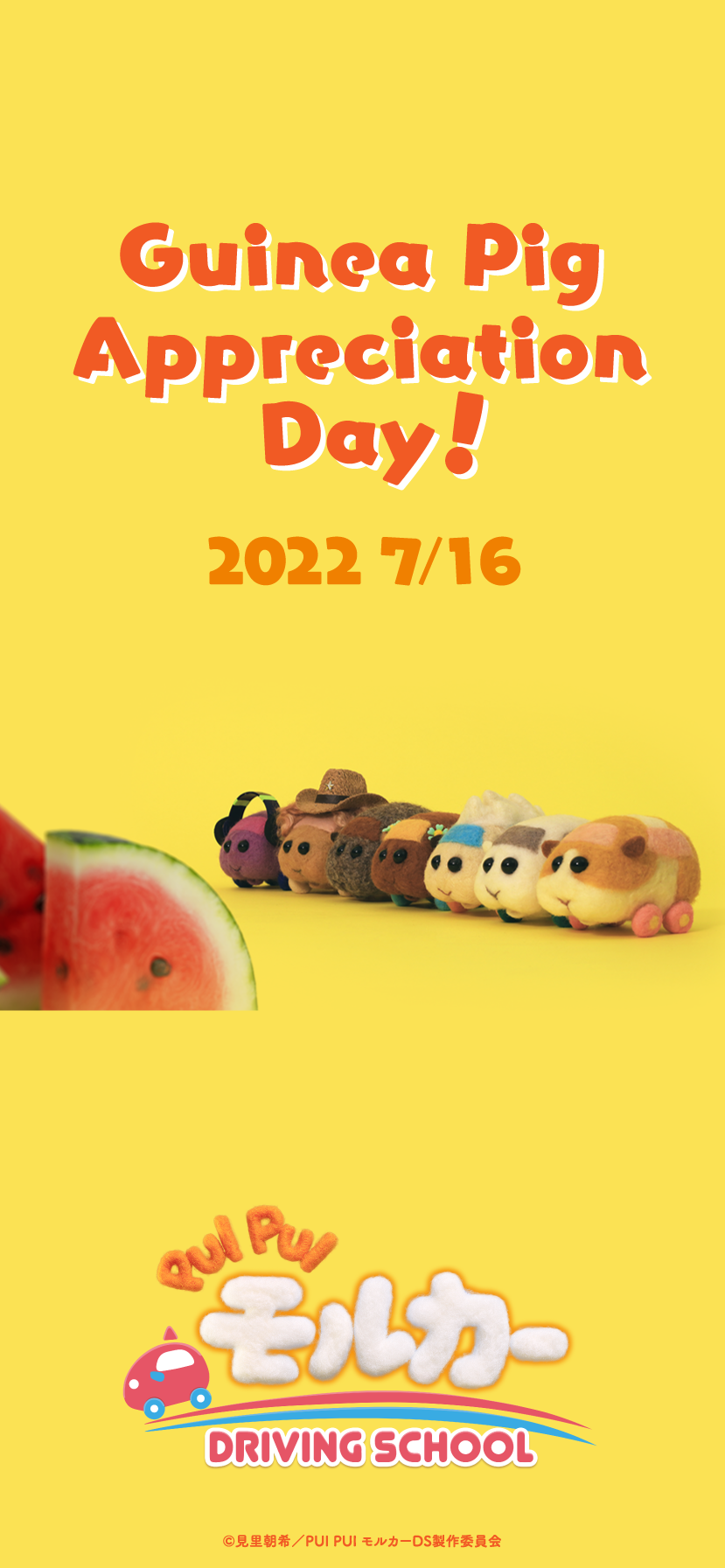 Guinea Pig Appreciation Day!