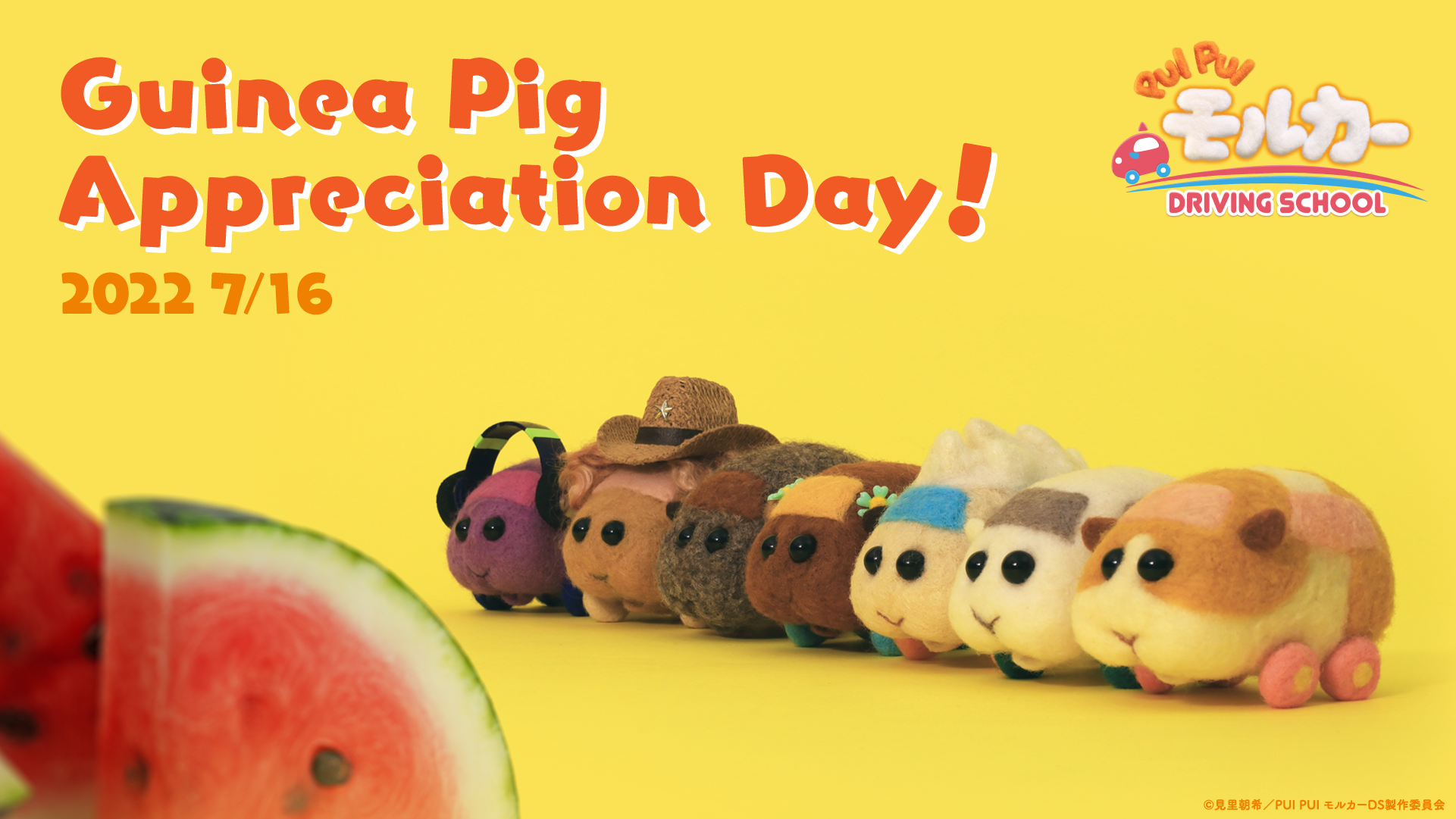 Guinea Pig Appreciation Day!