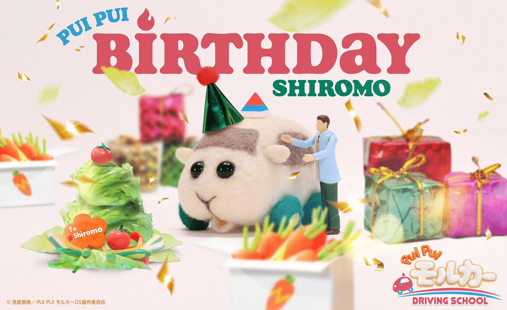 shiromo-birthday
